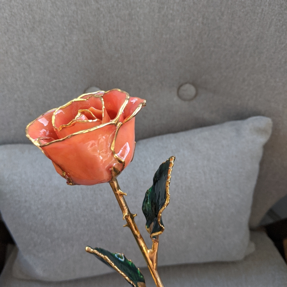 24 Kt Rose
